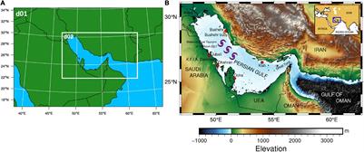 The Skill Assessment of Weather and Research Forecasting and WAVEWATCH-III Models During Recent Meteotsunami Event in the Persian Gulf